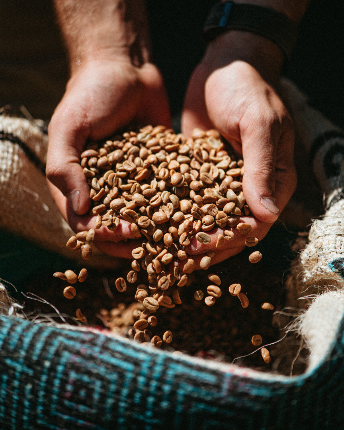 Open Seas Coffee Roasters